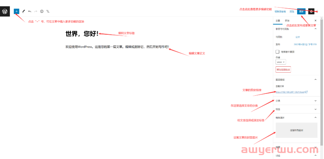 2024年最新Wordpress建站，教你一步一步搭建自己的网站，最全面最详细教程 第151张