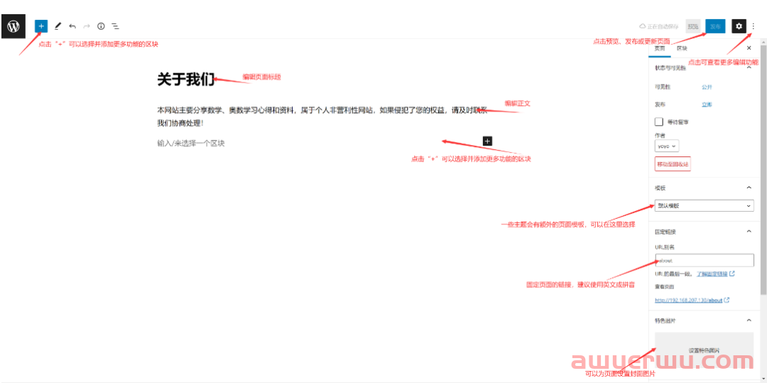 2024年最新Wordpress建站，教你一步一步搭建自己的网站，最全面最详细教程 第155张