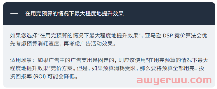 预算有限也能赢！亚马逊DSP竞价策略助你突围！ 第1张