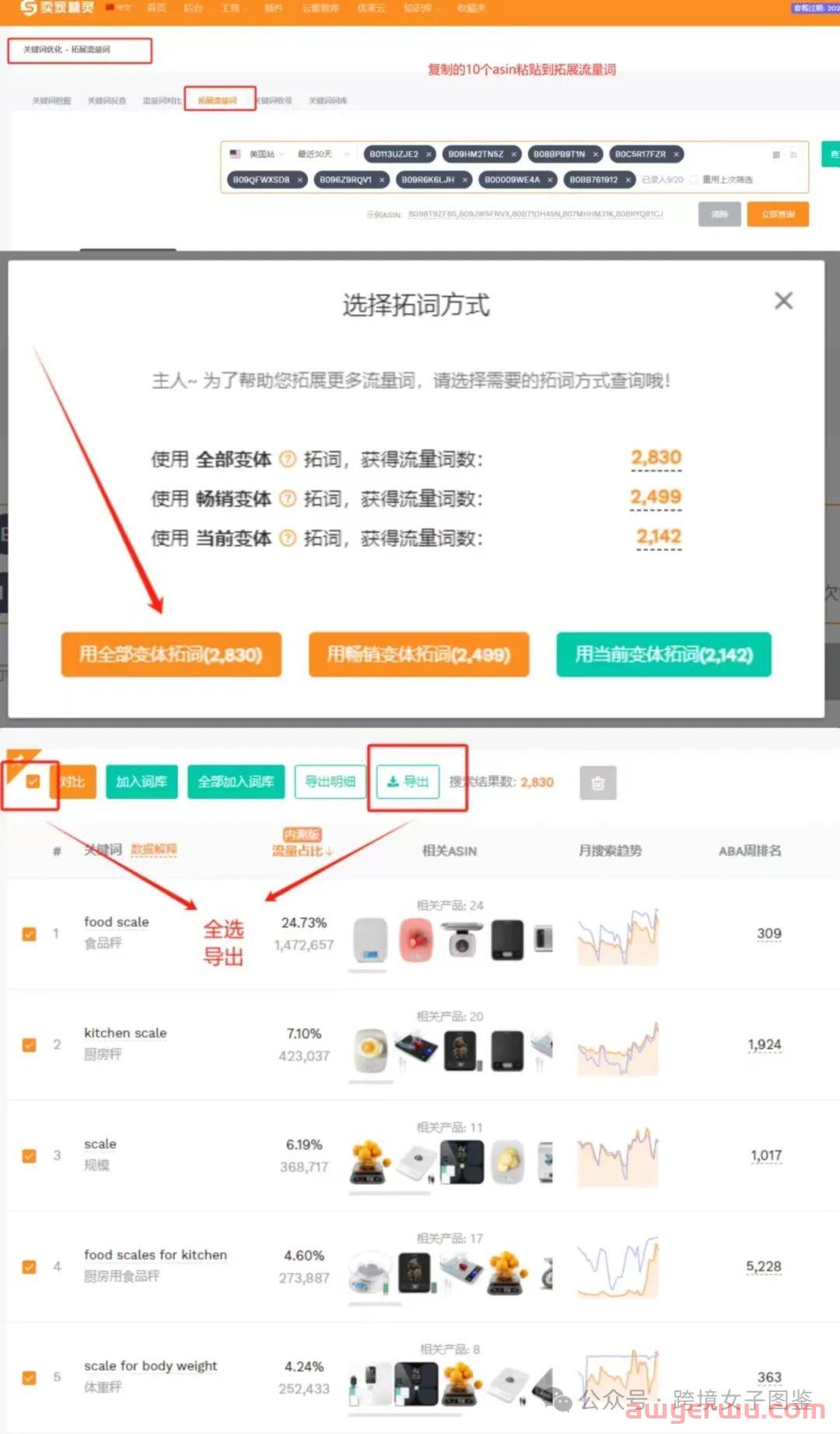 亚马逊新手找listing和广告广告关键词的正确姿势 第3张
