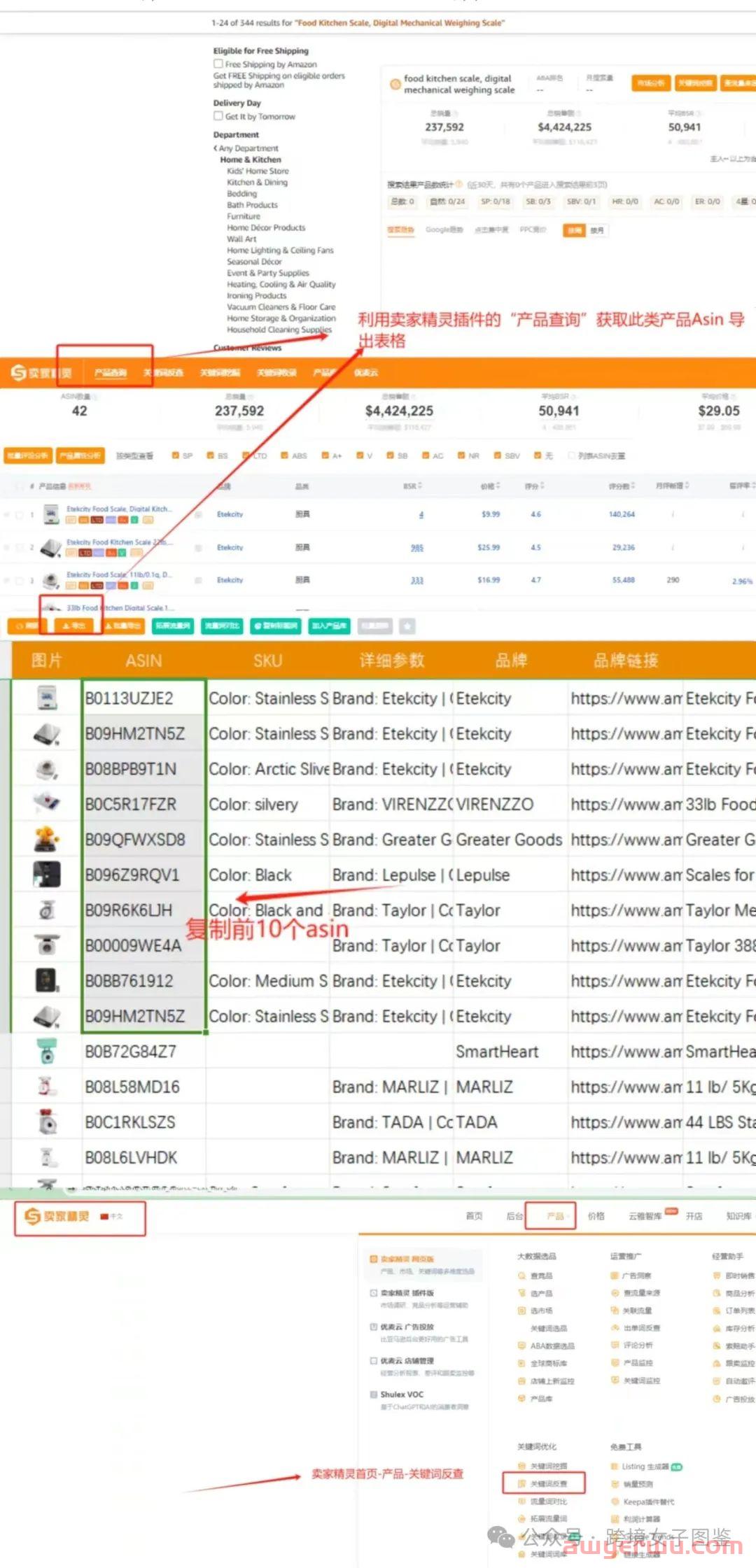 亚马逊新手找listing和广告广告关键词的正确姿势 第2张