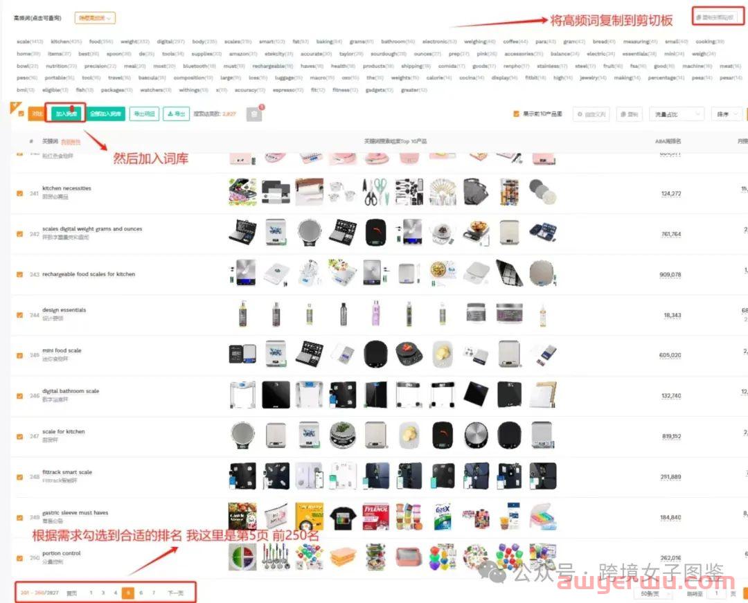 亚马逊新手找listing和广告广告关键词的正确姿势 第5张