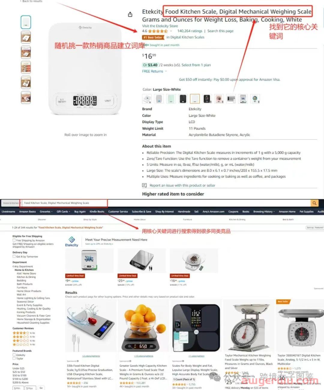 亚马逊新手找listing和广告广告关键词的正确姿势 第1张