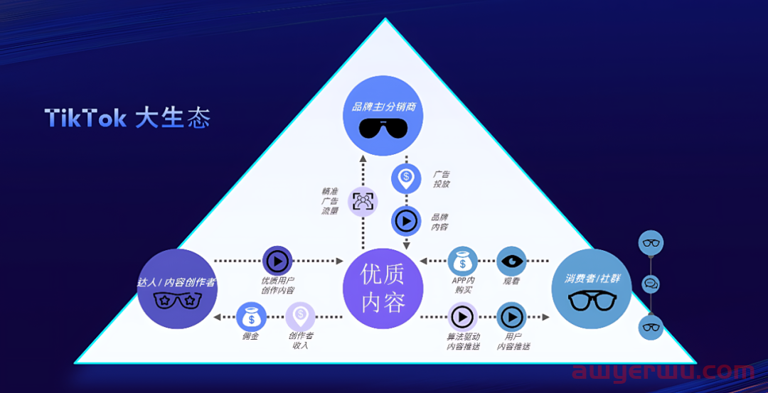 TikTok播放量低，出单效果不佳！如何生产优质内容？从内容视角深度剖析TikTok运营逻辑 第5张
