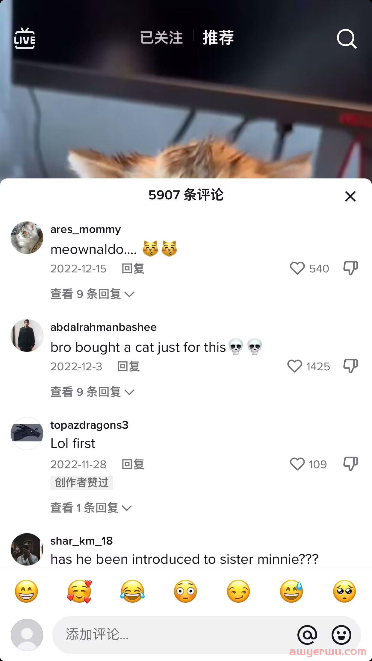 2024年国际版抖音TikTok下载安装最新详细教程 tiktok国际版下载 tiktok国际版官方下载 tiktok下载方式及正确的安装使用方法 第15张