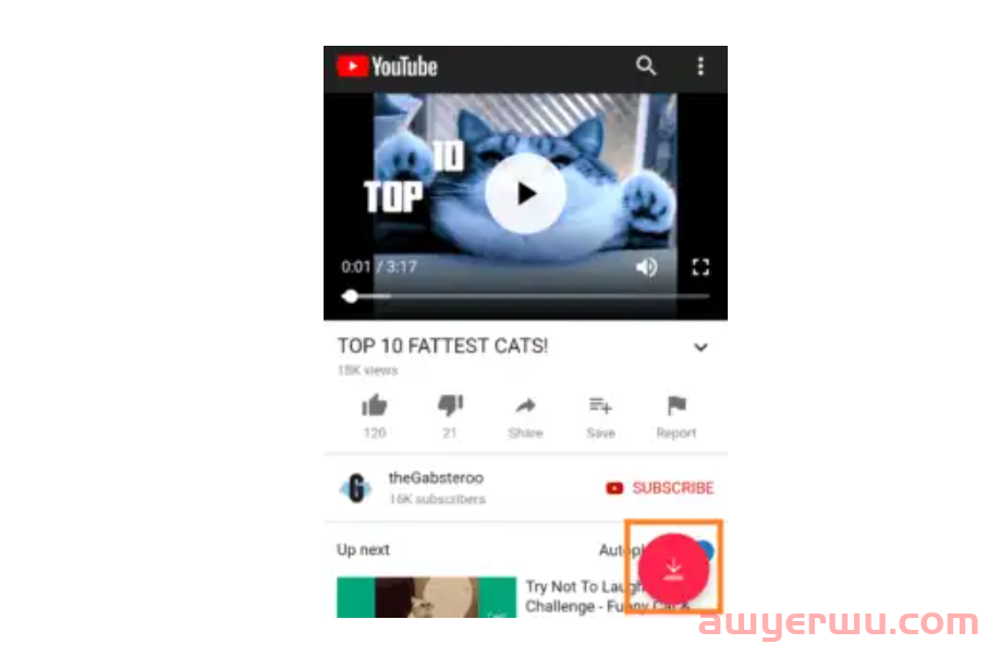 如何下载油管视频，下载YouTube视频的免费软件工具，手把手指导您使用，手机平板Window电脑都行！ 第7张