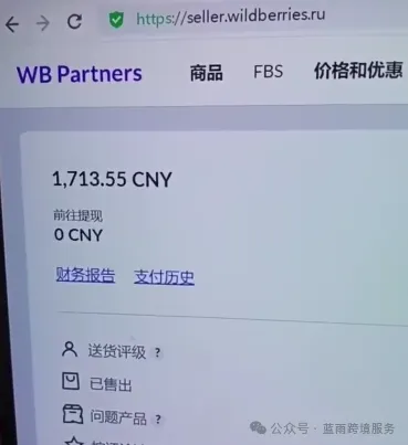 俄罗斯top1Wildberries入驻中国市场，跨境卖家2024出海布局 第4张