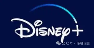 2024年最热门的46个国内/国外视频网站和电影网站推荐 第6张