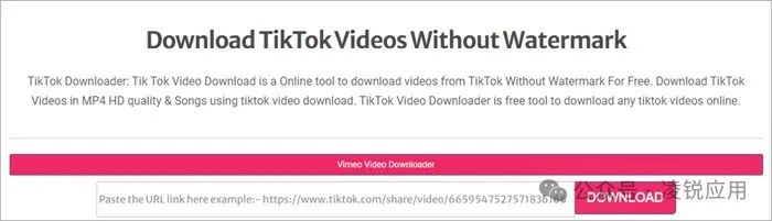 TikTok视频下载：20个免费 TikTok 无水印下载在线网站/软件 第5张