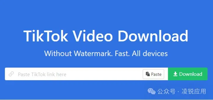 TikTok视频下载：20个免费 TikTok 无水印下载在线网站/软件 第3张