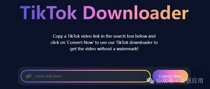 TikTok视频下载：20个免费 TikTok 无水印下载在线网站/软件 第6张