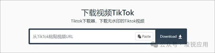 TikTok视频下载：20个免费 TikTok 无水印下载在线网站/软件 第14张