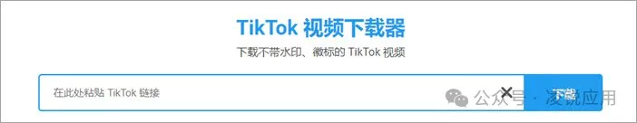 TikTok视频下载：20个免费 TikTok 无水印下载在线网站/软件 第16张