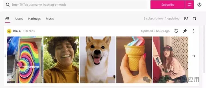 TikTok视频下载：20个免费 TikTok 无水印下载在线网站/软件 第12张