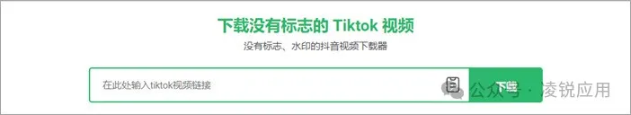 TikTok视频下载：20个免费 TikTok 无水印下载在线网站/软件 第15张