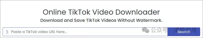 TikTok视频下载：20个免费 TikTok 无水印下载在线网站/软件 第11张