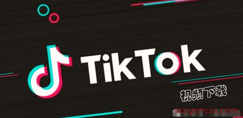 TikTok视频下载：20个免费 TikTok 无水印下载在线网站/软件 第1张