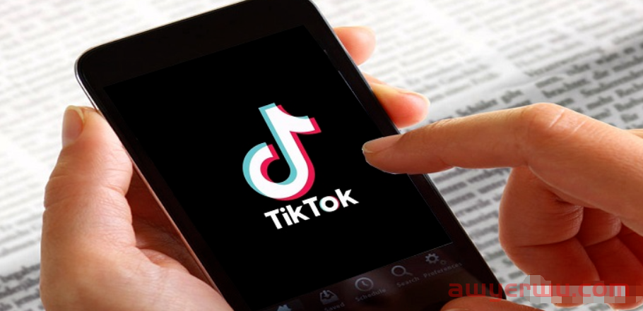 浅谈--跨境社媒 TikTok的使用、运营、案例、开店的保姆级教程 第1张