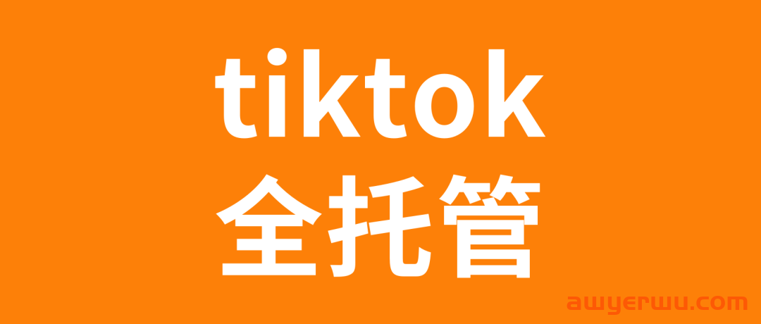 TikTok Shop入驻模式怎么选？ 第2张