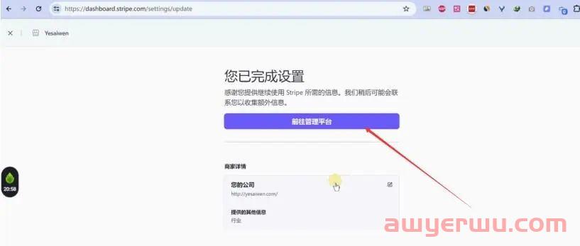 2024年最新最全手把手教如何注册⾹港Stripe个⼈账户(可全球收款) 第29张 2024年最新最全手把手教如何注册⾹港Stripe个⼈账户(可全球收款) 第29张