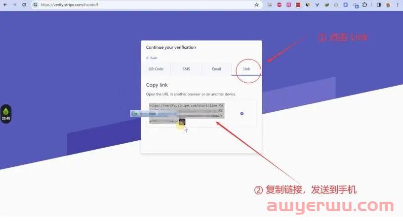 2024年最新最全手把手教如何注册⾹港Stripe个⼈账户(可全球收款) 第32张 2024年最新最全手把手教如何注册⾹港Stripe个⼈账户(可全球收款) 第32张