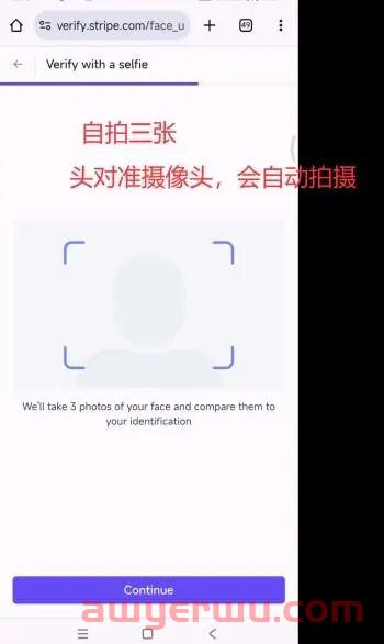 2024年最新最全手把手教如何注册⾹港Stripe个⼈账户(可全球收款) 第36张 2024年最新最全手把手教如何注册⾹港Stripe个⼈账户(可全球收款) 第36张