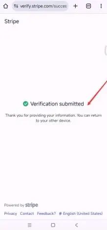 2024年最新最全手把手教如何注册⾹港Stripe个⼈账户(可全球收款) 第37张 2024年最新最全手把手教如何注册⾹港Stripe个⼈账户(可全球收款) 第37张