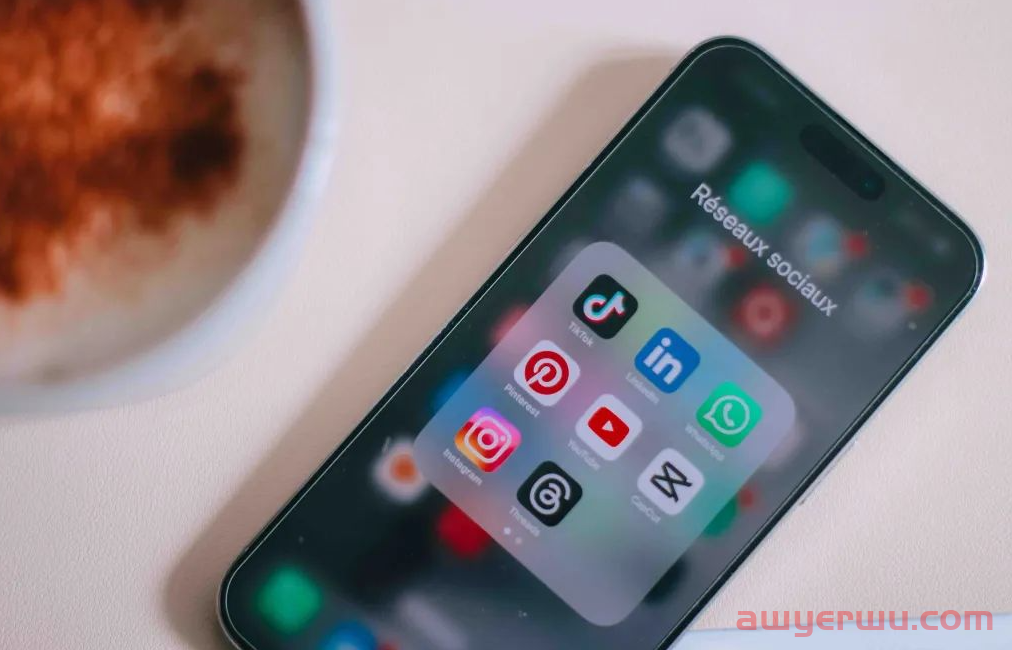美国人都在玩这些？总统爱用Facebook，年轻人拥护Tik Tok 第1张