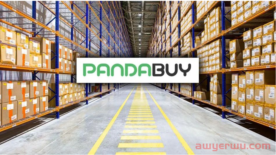 Pandabuy代采模式独立站打造攻略，轻松开启全球电商新篇章！ 第1张