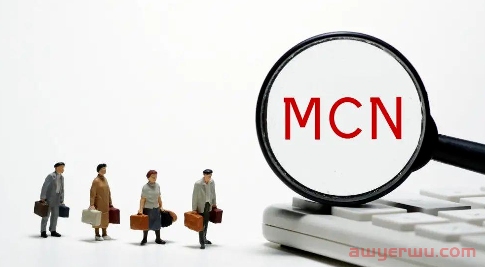 TikTokMCN入驻有什么优势?入驻材料需要哪些 第1张 TikTokMCN入驻有什么优势?入驻材料需要哪些 第1张