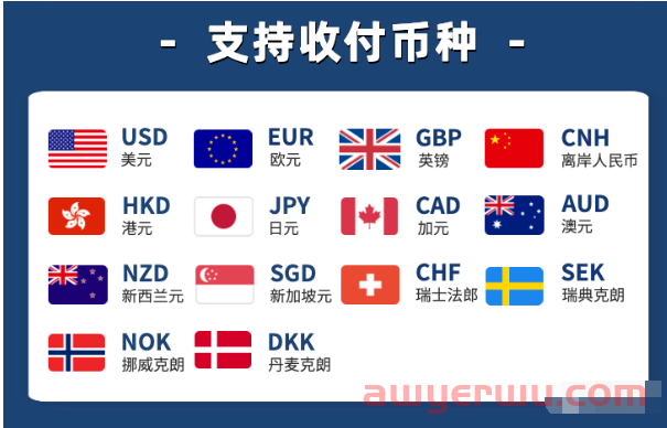 泛付PanPay 外贸人SOHO必备收款工具 电子账户 第三平台收款账户 支持24种货币 第4张 泛付PanPay 外贸人SOHO必备收款工具 电子账户 第三平台收款账户 支持24种货币 第4张
