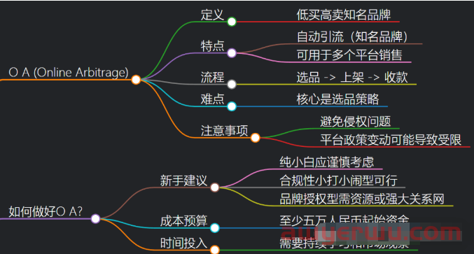 亚马逊OA是什么？普通人还能入局吗？ 第1张