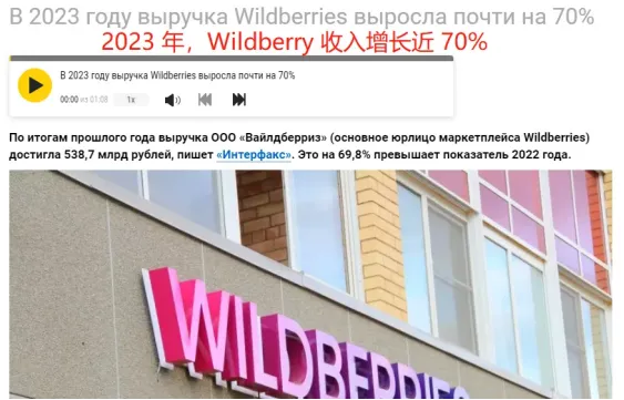 Wildberries发展迅猛，冲进全球电商平台访问量前十 第1张