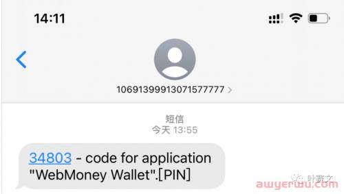 2024年Webmoney最新注册教程 第5张