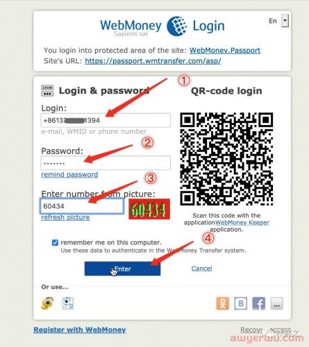 2024年Webmoney最新注册教程 第15张