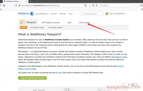 2024年Webmoney最新注册教程 第34张