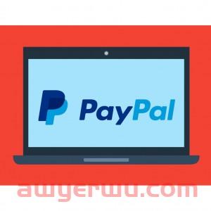 2024如何使用PayPal付款、收款、转账和提现？ 第11张