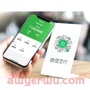 2024如何使用Apple Pay付款、收款、转账和提现？（中/国外版注册教程+手续费） 第18张