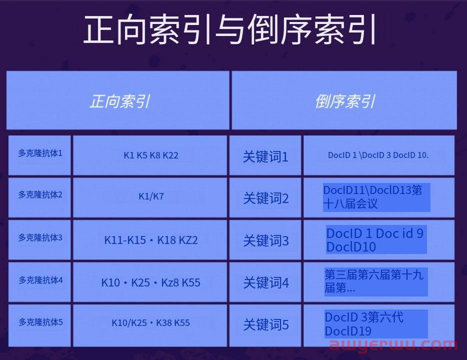 Google 检索、索引、搜索引擎排名与原理！ 2024教学 第3张