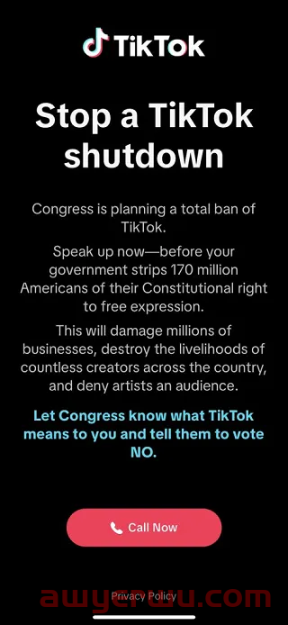 惊天逆转？TikTok能否翻盘美国禁令？ 第2张