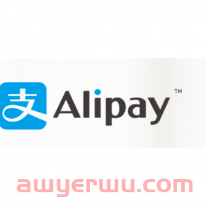 2024新加坡常用付款方式及支付APP推荐 - 信用卡, 支付宝、PayPal、Paynow等! 第2张 2024新加坡常用付款方式及支付APP推荐 - 信用卡, 支付宝、PayPal、Paynow等! 第2张