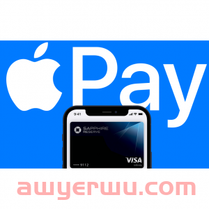 2024新加坡常用付款方式及支付APP推荐 - 信用卡, 支付宝、PayPal、Paynow等! 第8张 2024新加坡常用付款方式及支付APP推荐 - 信用卡, 支付宝、PayPal、Paynow等! 第8张