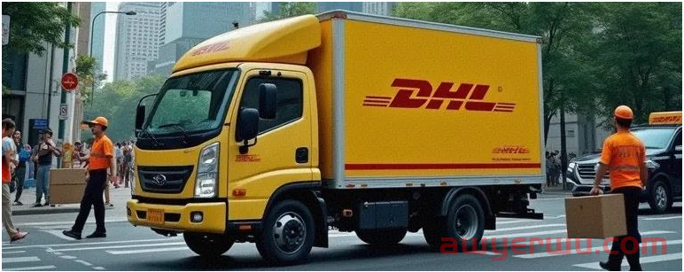 DHL包裹状态：Shipment is on hold，会有哪些原因？应对方式 第1张