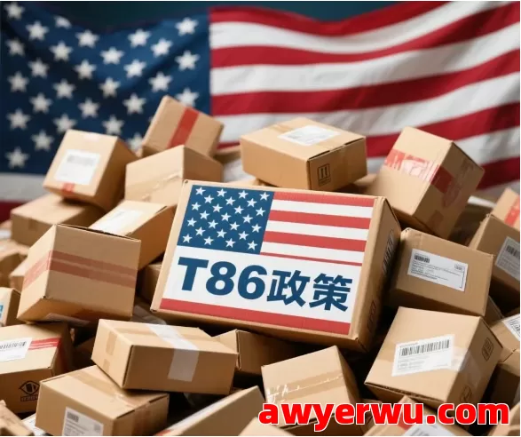终于说清美国T86免税取消后跨境电商直邮卖家的实操对策 第1张