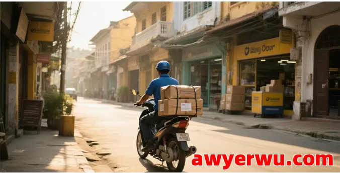 收藏！DHL快递发货到20个国家的清关政策+避坑指南！ 第2张