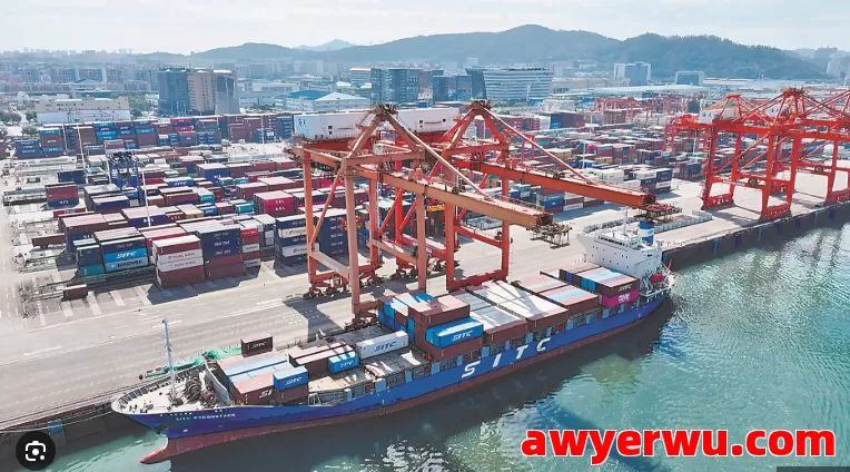 震撼揭秘跨境海运舱单真相，99%卖家都忽视的关键信息！ 第1张