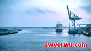 跨境物流海关检验（CI） 是什么？主要方法有哪些？ 第1张