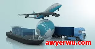 海关进出口证件种类及办理流程，助力跨境物流顺畅 第1张