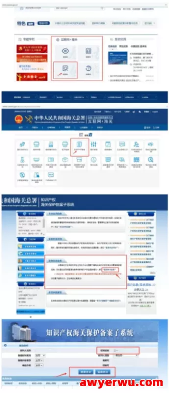 跨境物流如何查询规避出口产品侵权风险？ 第1张