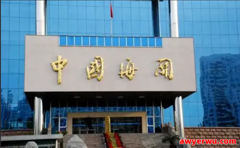 全球10大海关排名：谁才是国际贸易的真正枢纽 第1张